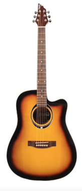 Gitara Akustyczna Flycat C100 NT Połysk Canto